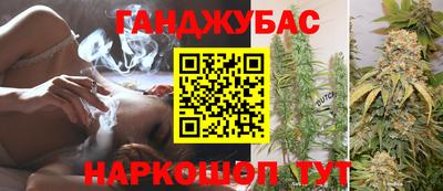дмт Кингисепп