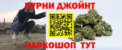 дмт Кингисепп