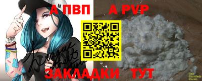 дмт Кингисепп
