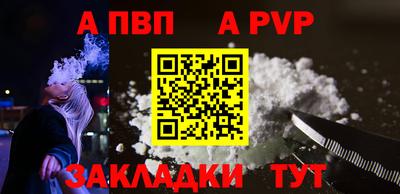 дмт Кингисепп