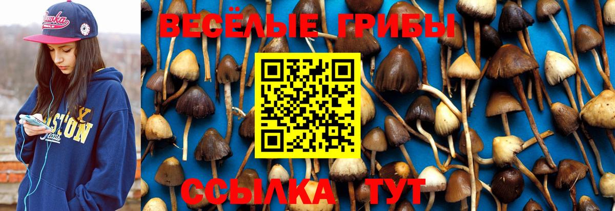 Псилоцибиновые грибы Magic Shrooms Кузнецк